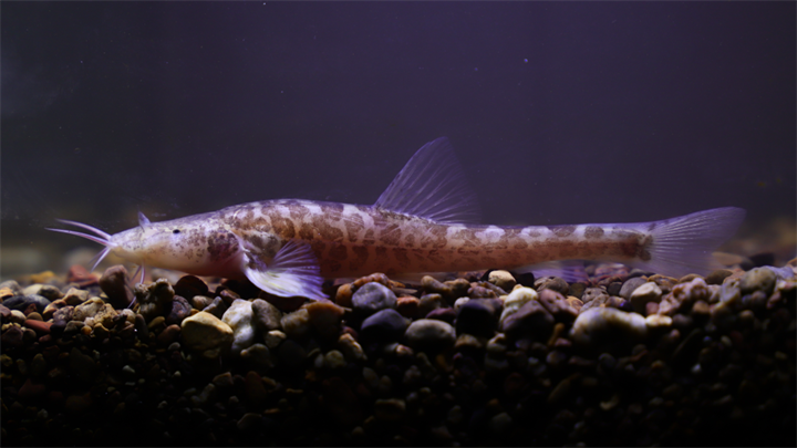 1728882497366886.png 微信图片_20241014130736.png