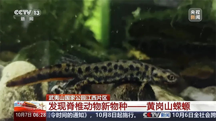 1728882847128328.jpg 微信图片_20241014131315.jpg