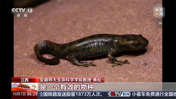 1728882859286339.jpg 微信图片_20241014131322.jpg