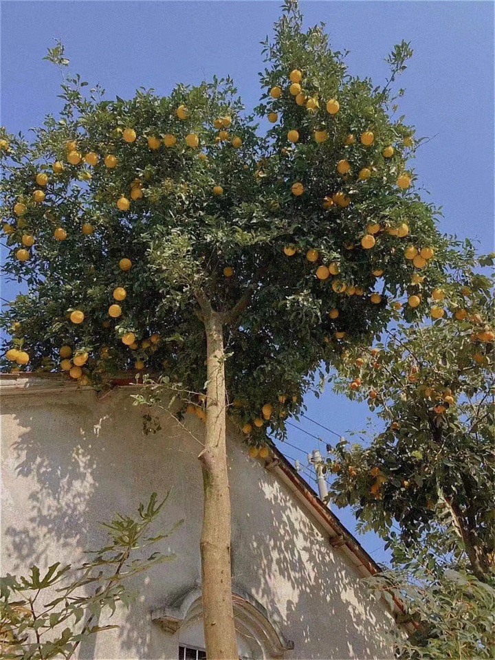 1729491659739159.jpg 001.jpg