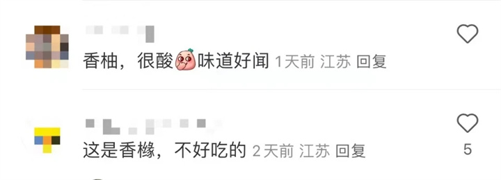 1729491681940773.jpg 003.jpg