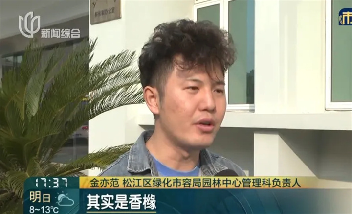 1729491687735987.jpg 005.jpg