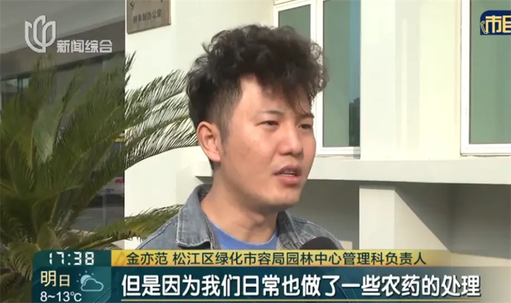 1729491698292534.jpg 006.jpg