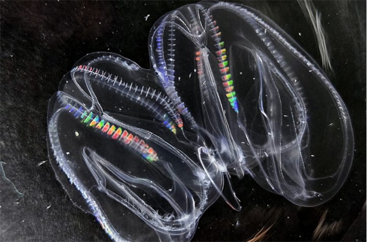 1729655847914450.png 31.png