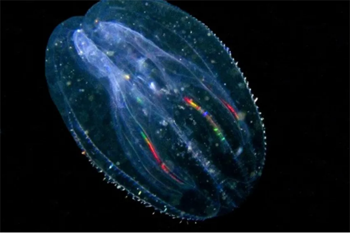 1729655865111599.png 32.png