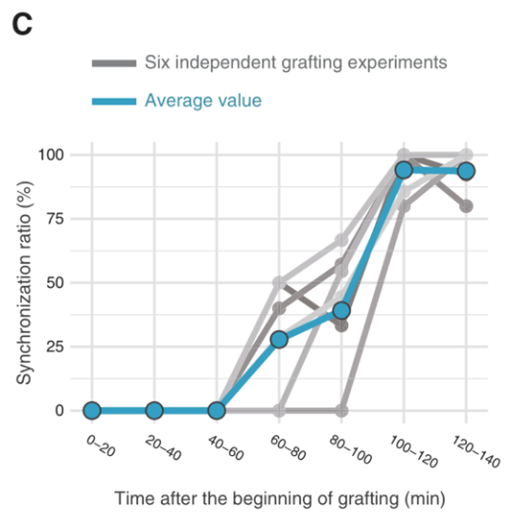 1729655936825287.png 34.png