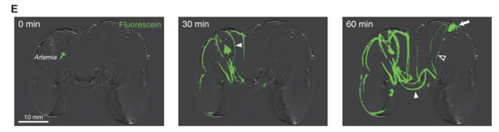 1729655954297699.png 35.png