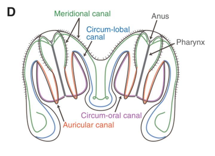 1729655969673760.png 36.png