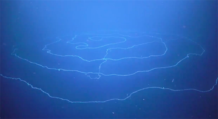 1729655991138486.png 37.png