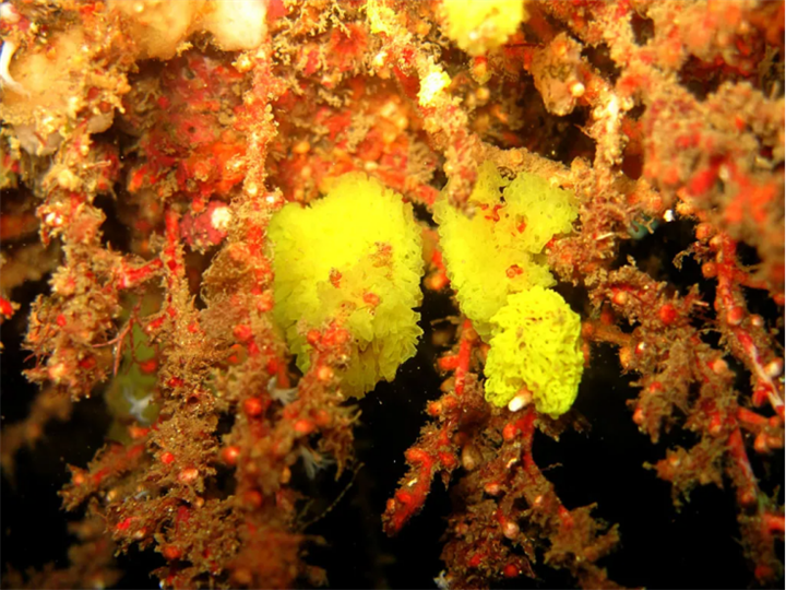 1729656006691287.png 38.png