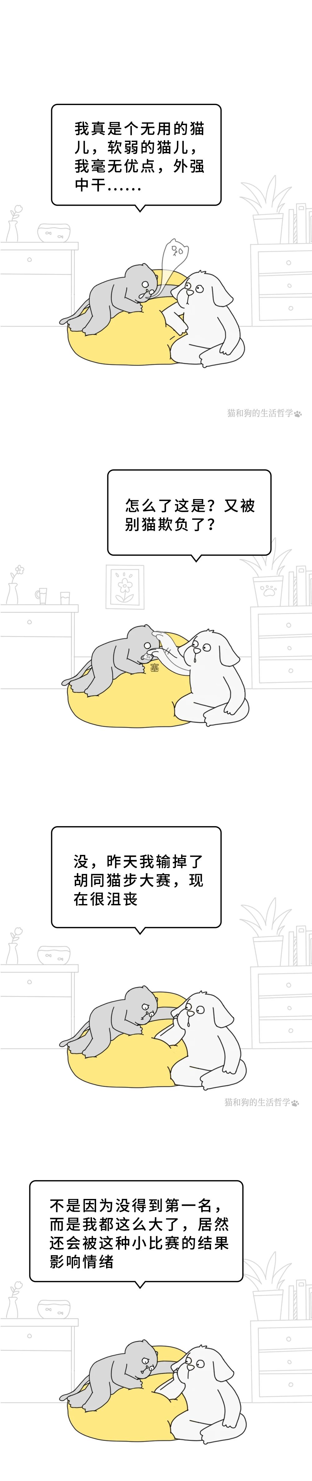 1731055217145613.jpg 283.jpg