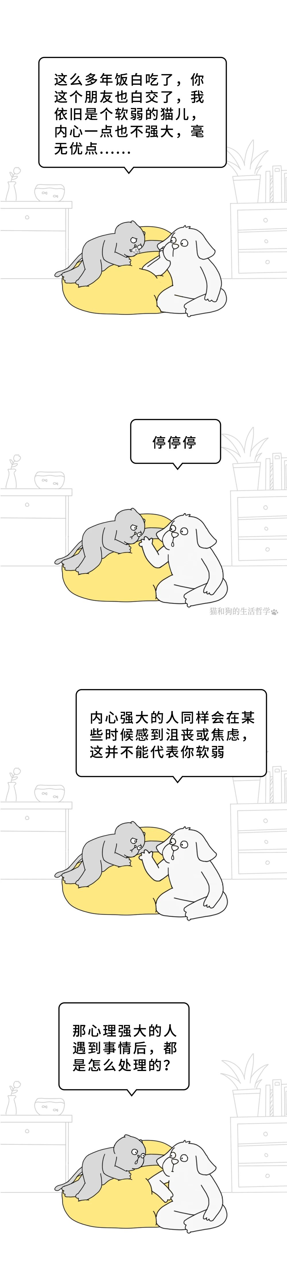 1731055224844965.jpg 284.jpg