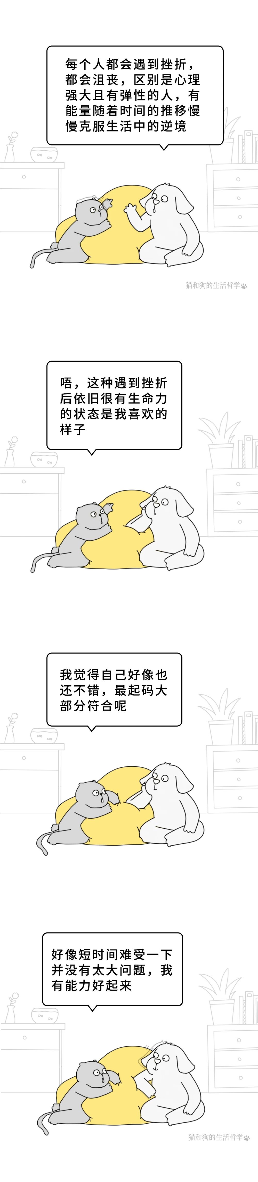 1731055272419010.jpg 291.jpg