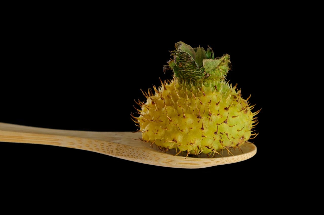 1731055877151937.jpg 295.jpg