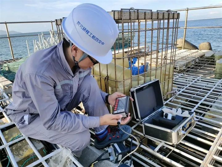 1731311394583016.jpg 300.jpg