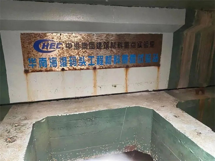 1731311455939278.jpg 304.jpg