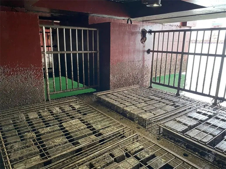 1731311464996627.jpg 305.jpg