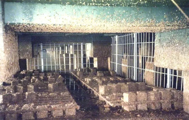 1731311482237259.jpg 307.jpg