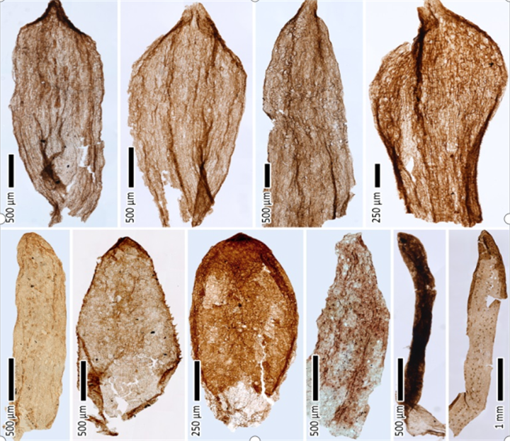 1731311754248856.png 316.png