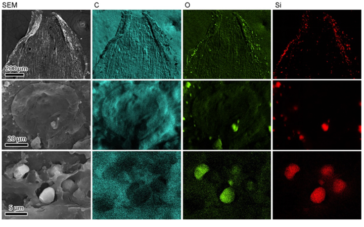 1731311764528299.png 317.png