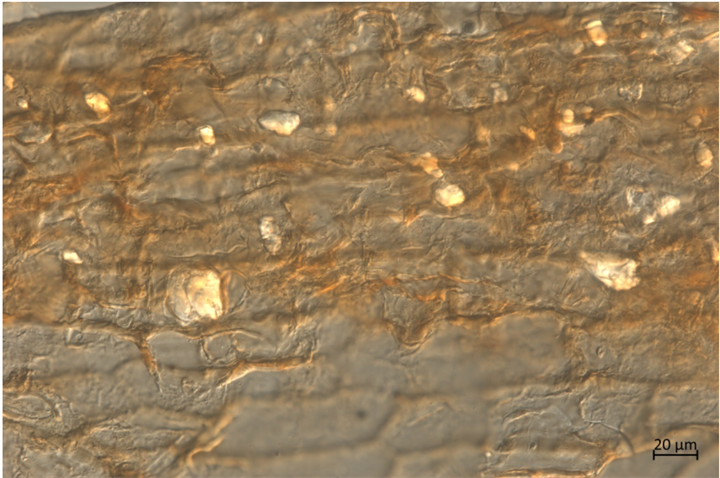 1731311772589665.png 318.png