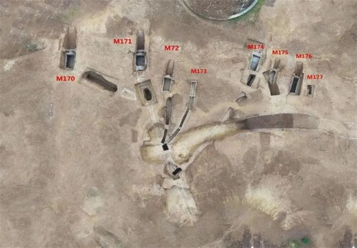 1731312121854774.jpg 321.jpg