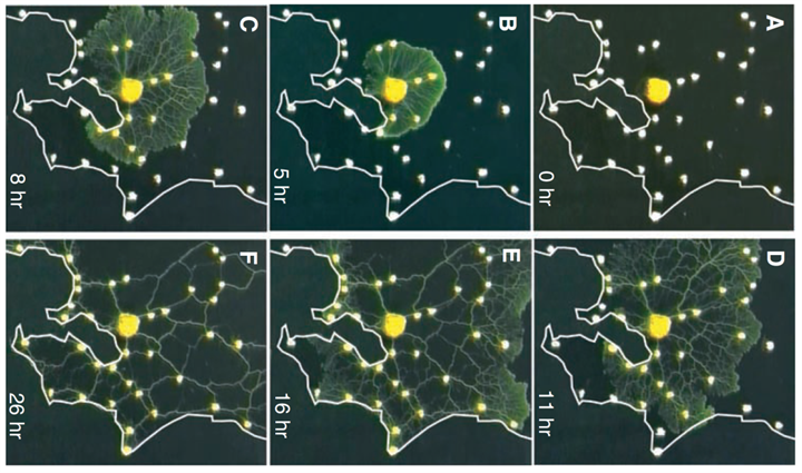 1731317062700391.png 383.png