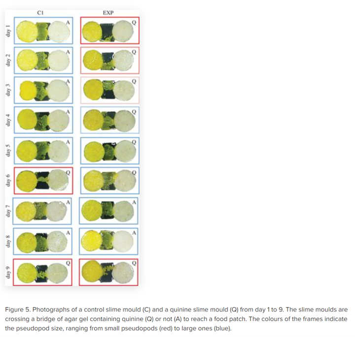 1731317106389574.png 384.png