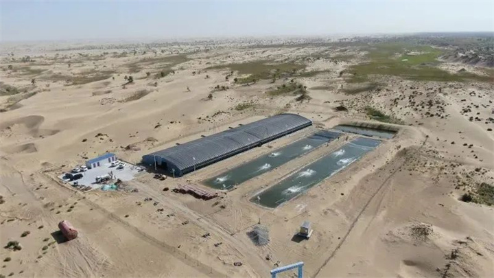 1731382830954512.jpg 7.jpg