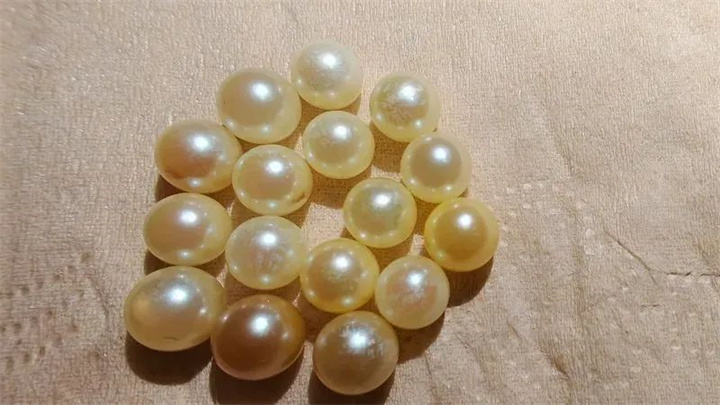 1731382848529630.jpg 8.jpg