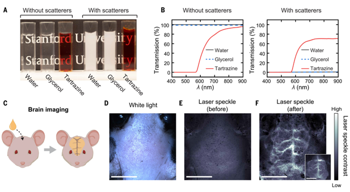 1731403075280843.png 18.png