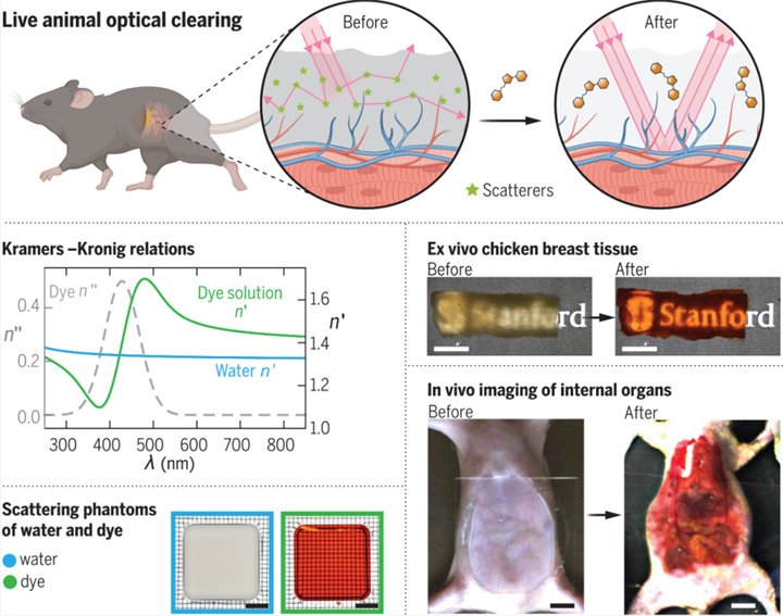 1731403083580833.png 19.png