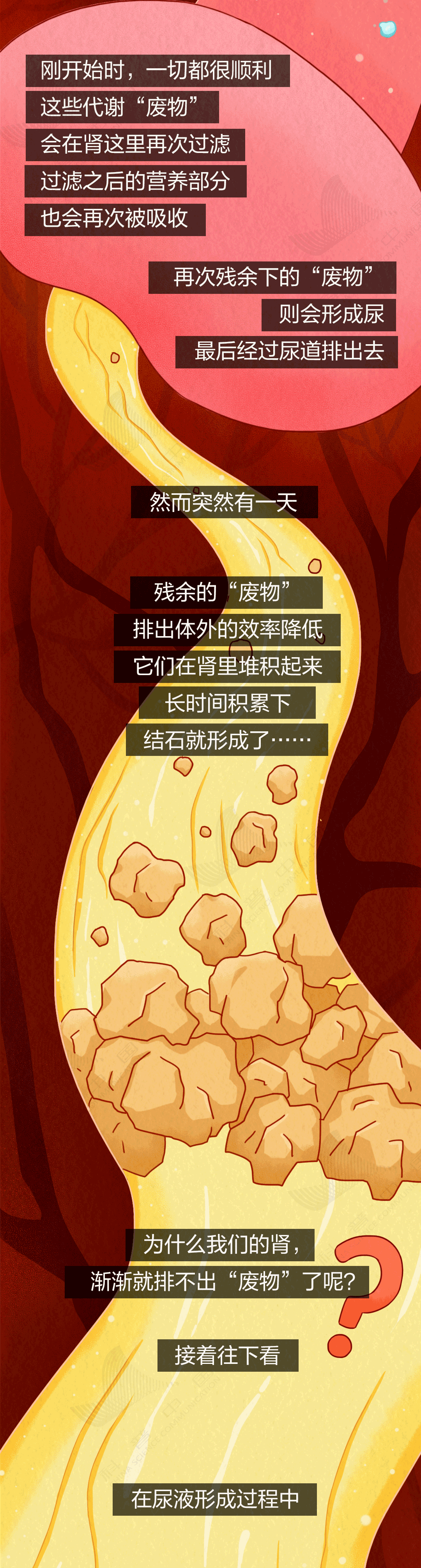 1731403656794494.png 23.png