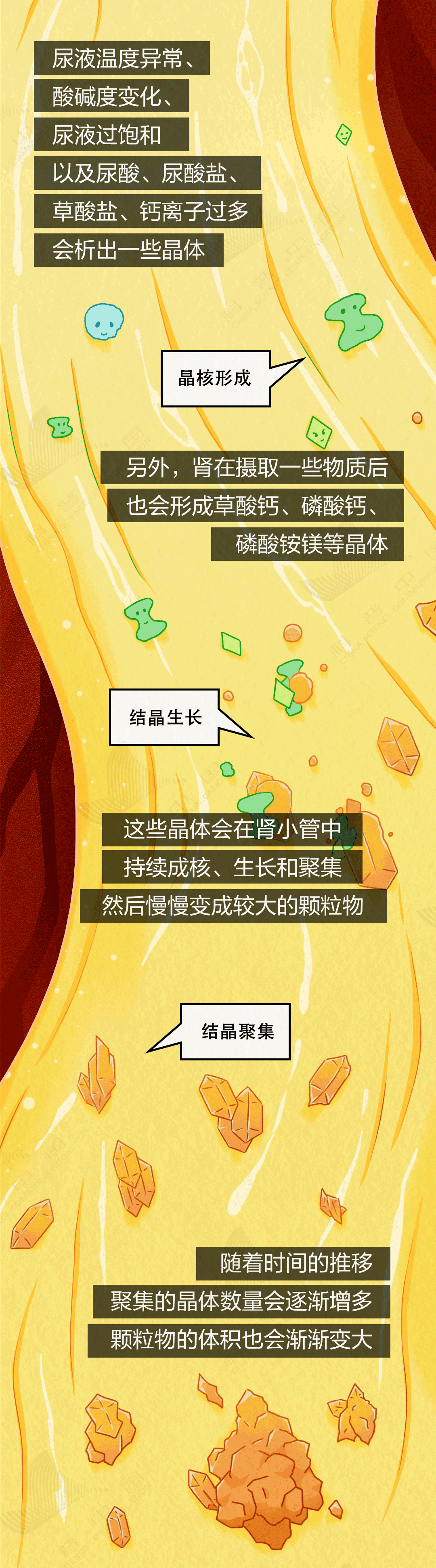 1731403662592350.png 24.png