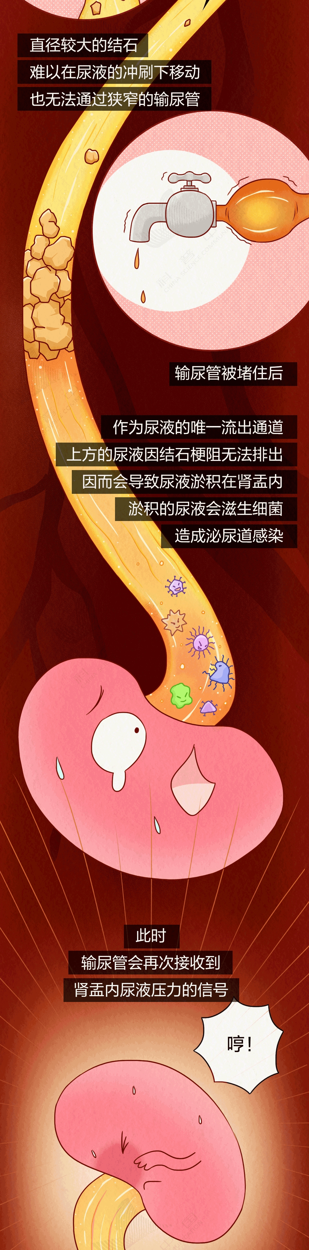 1731403674701764.png 26.png