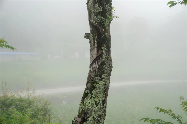 1732086900816471.jpg 75.jpg