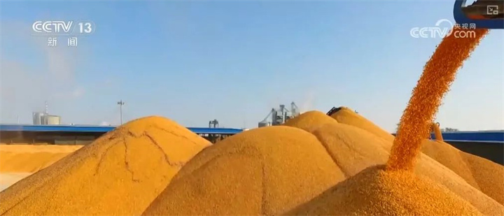 1732087626787331.jpg 77.jpg