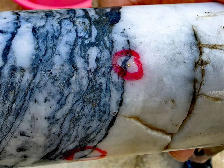 1732347504552301.jpg 1.jpg