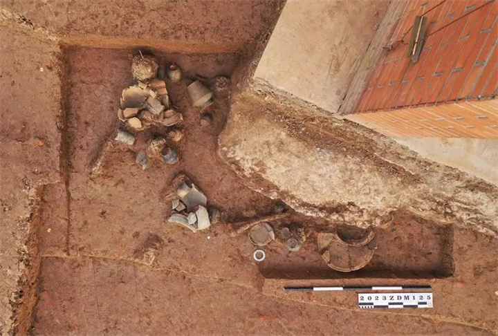 1732850097211310.jpg 21.jpg