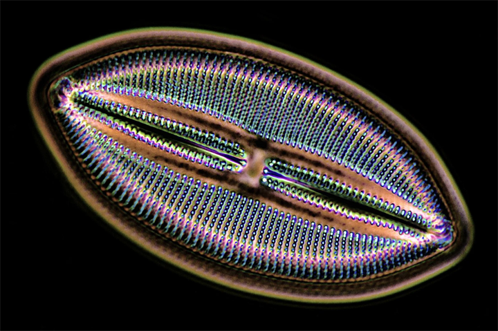 1732850877869642.png 27.png