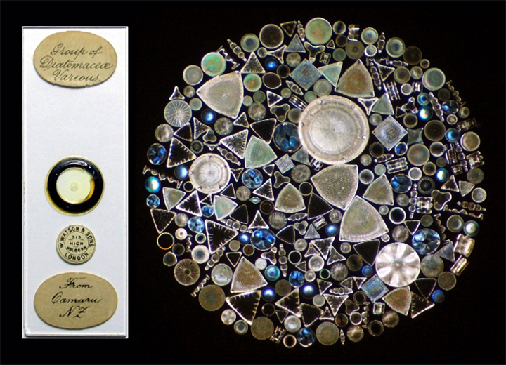 1732850916523973.png 30.png