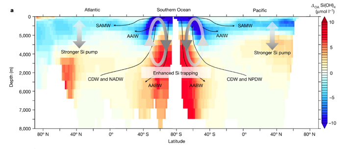 1732850940573416.png 31.png