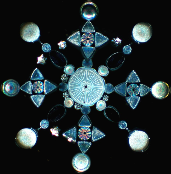 1732850949809610.png 32.png