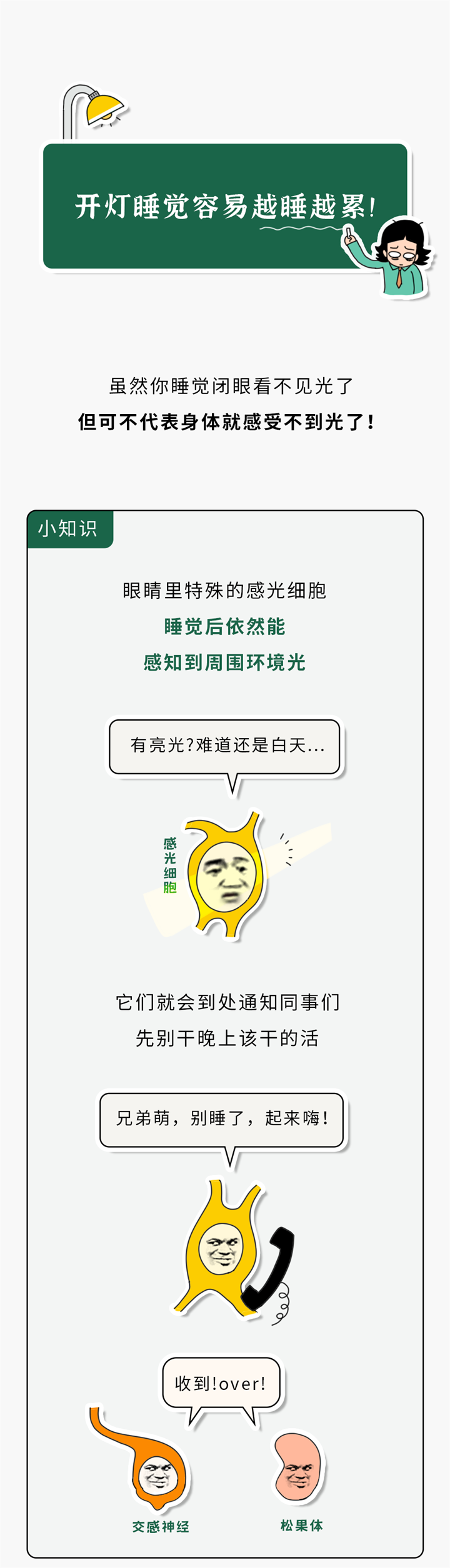 1732851255348854.png 35.png