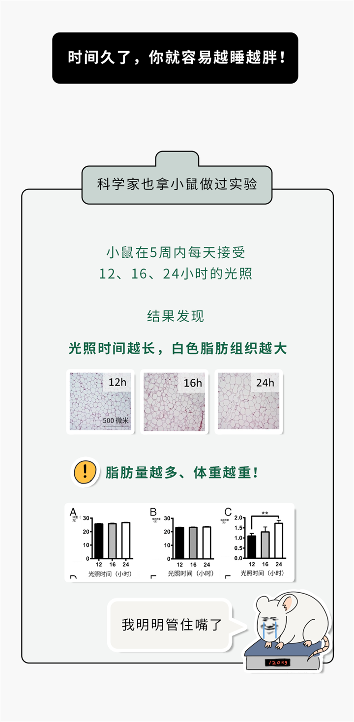 1732851293106158.png 41.png