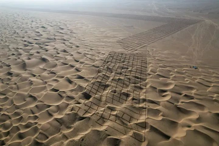 1733464263935922.jpg 19.jpg