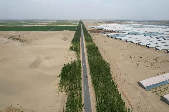 1733464271798378.jpg 20.jpg