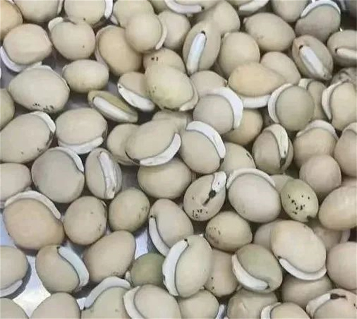 1733727215402725.jpg 53.jpg