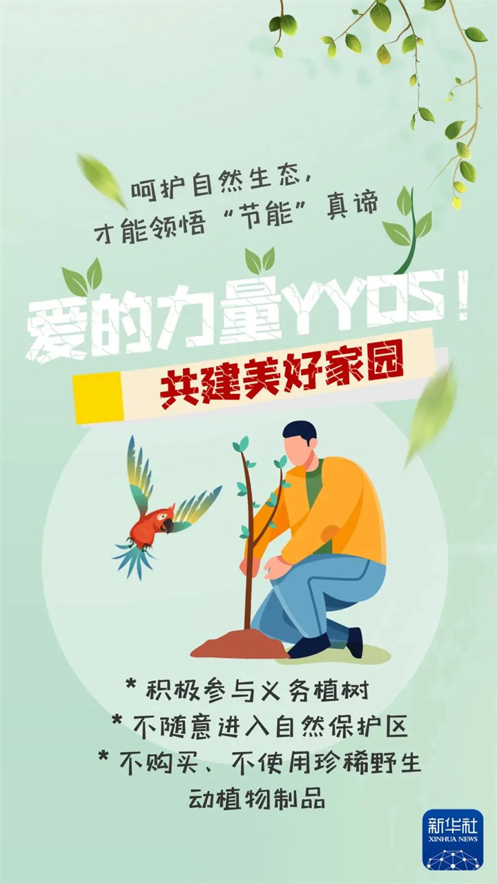 1733730232697868.jpg 67.jpg