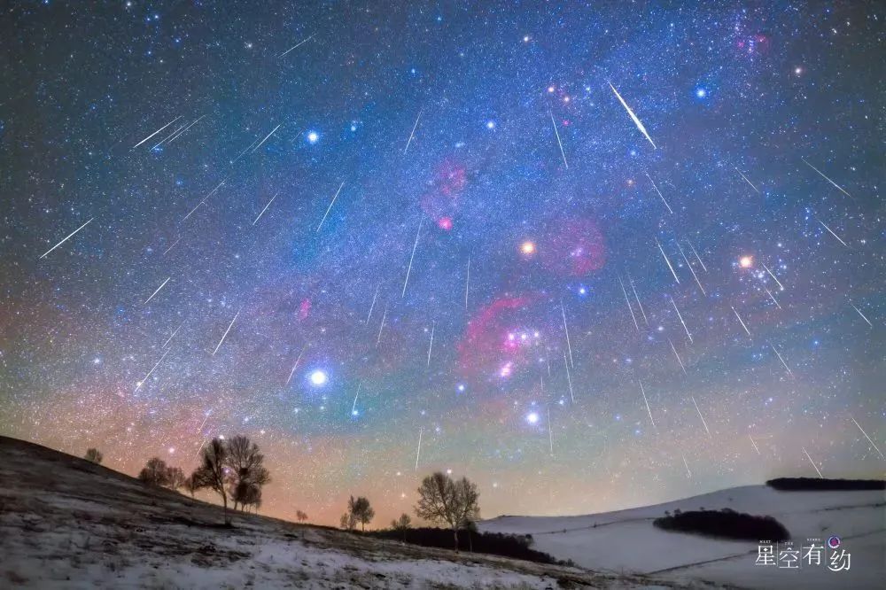 1734176269677335.jpg 100.jpg